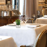 Artificial Decorative Plant in Silver Pot