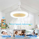 LED MULTI-FUNCTION FAN LIGHT