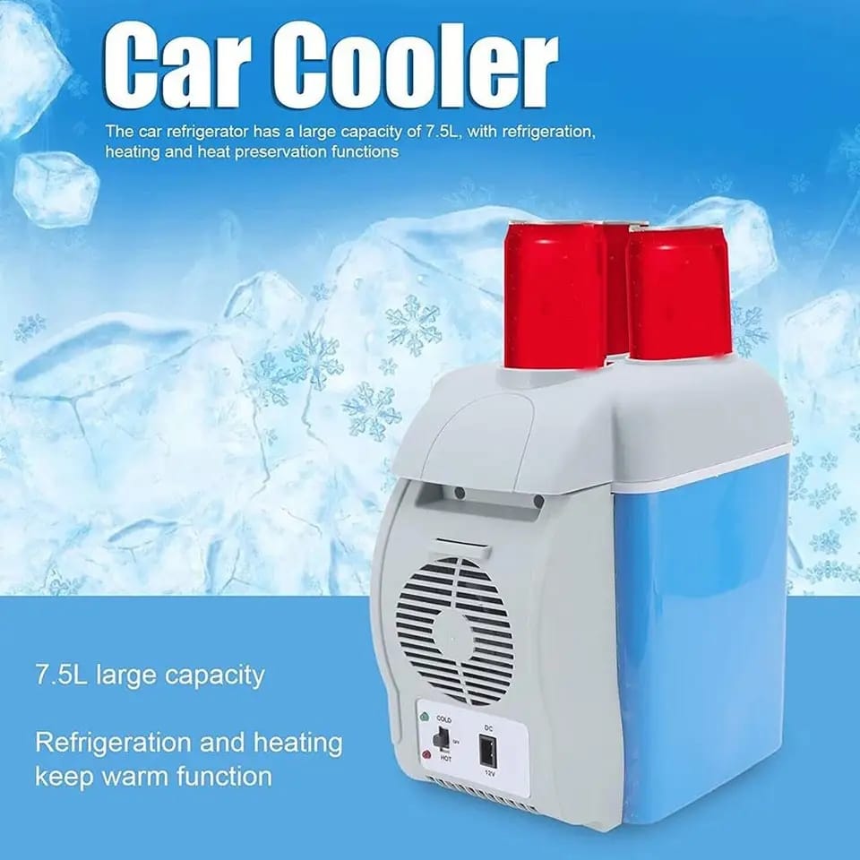 Car Portable Mini Fridge with 12V