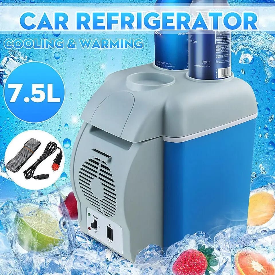 Car Portable Mini Fridge with 12V