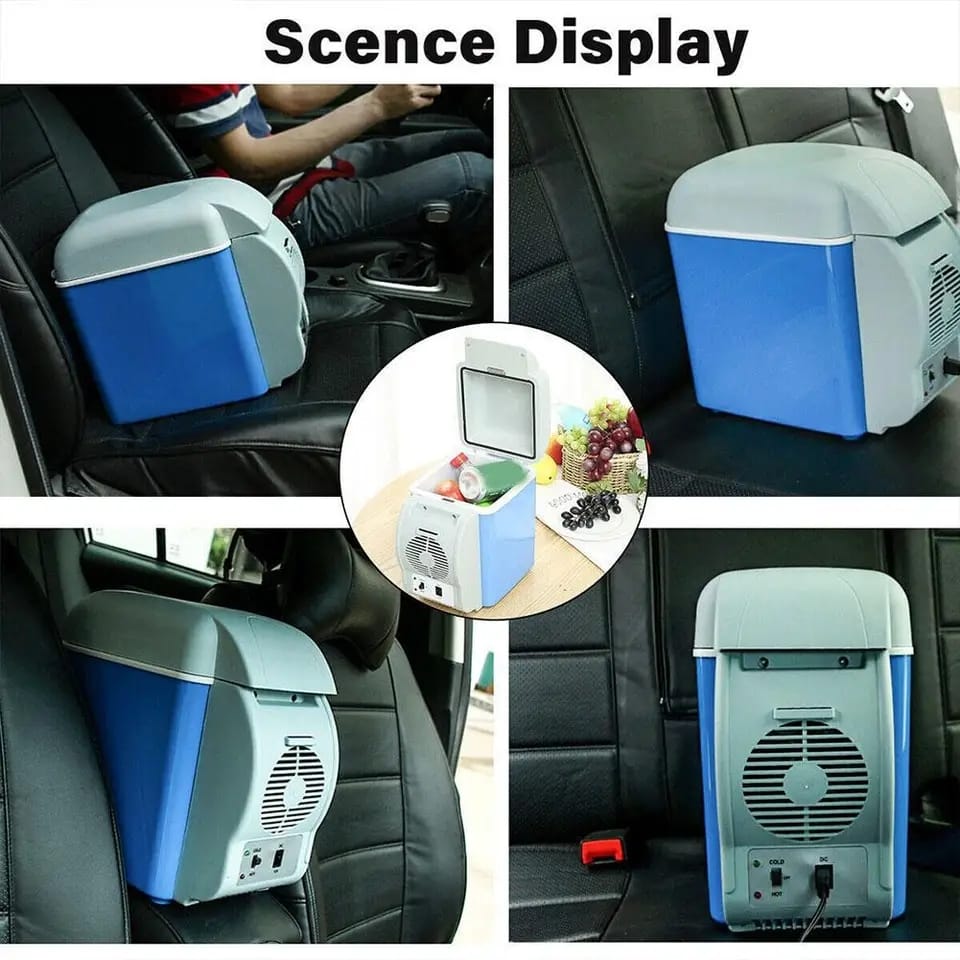 Car Portable Mini Fridge with 12V